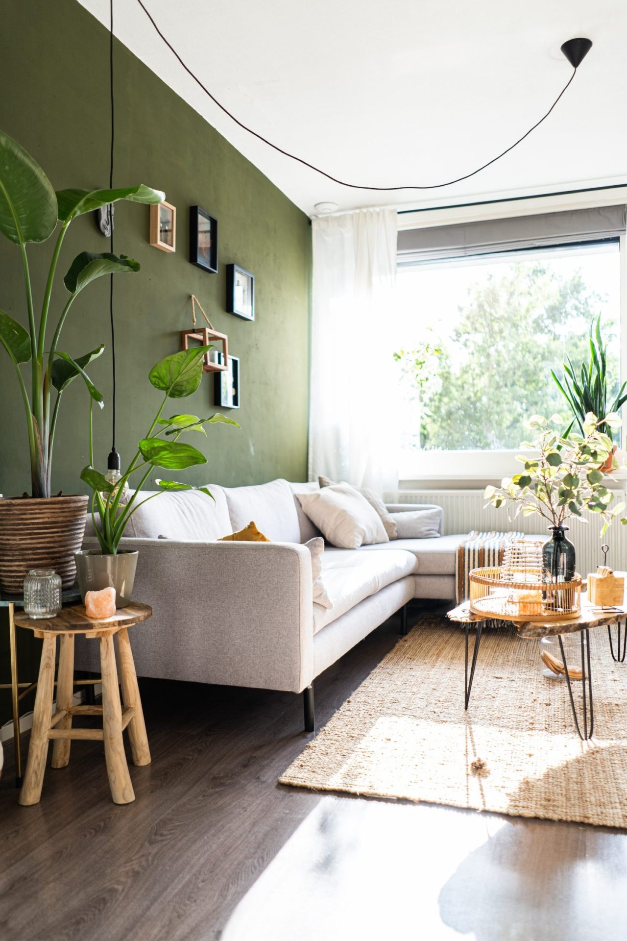 Modern living room designed to sell your home, with natural light featuring a cozy sofa, indoor plants, and wooden furniture.