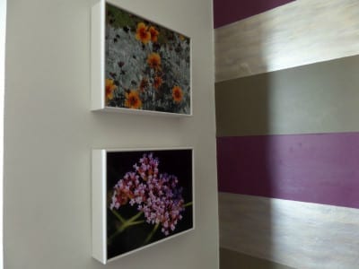 Two framed pictures of Photo Wall Art hanging on a purple striped wall.