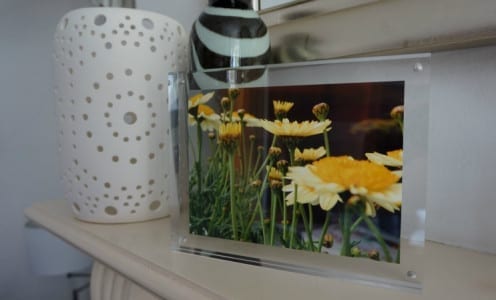 A beautiful yellow flower placed on a shelf, perfect for family gift ideas.
