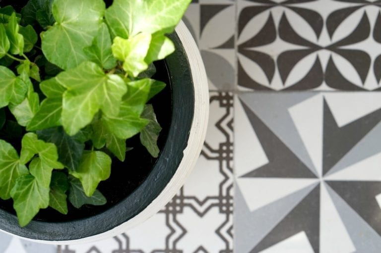 A mini fruit and herb garden sits on a tiled floor.