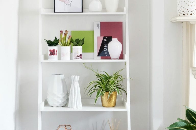 A stylish shelf showcasing plants and vases.