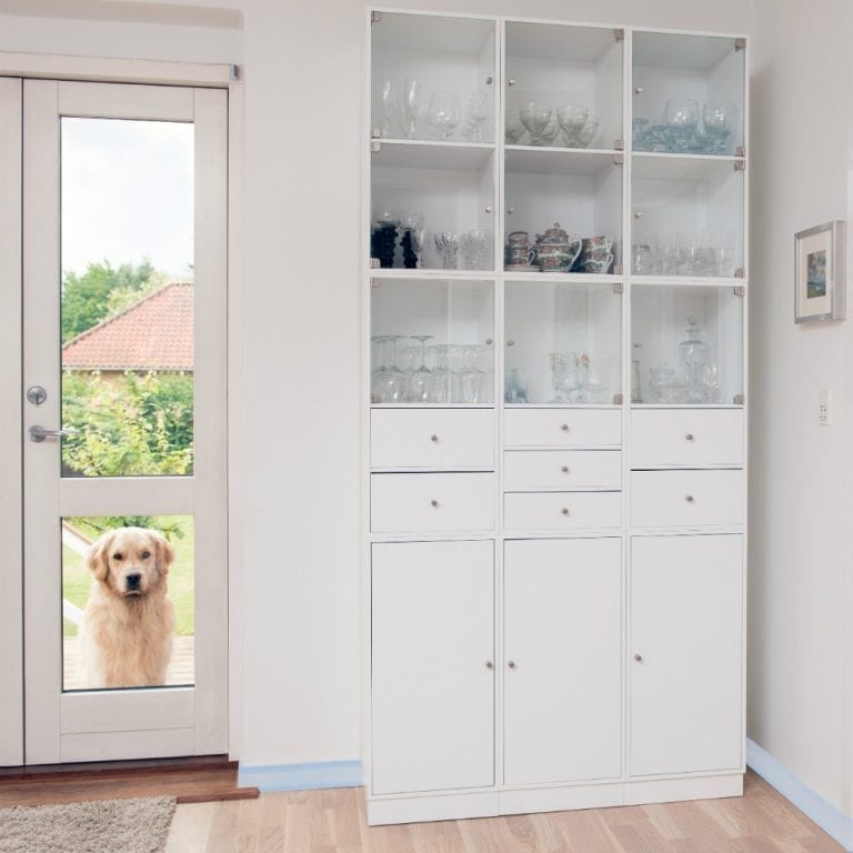A dog looking out the door of a white cabinet at The Skirting Board Shop.
