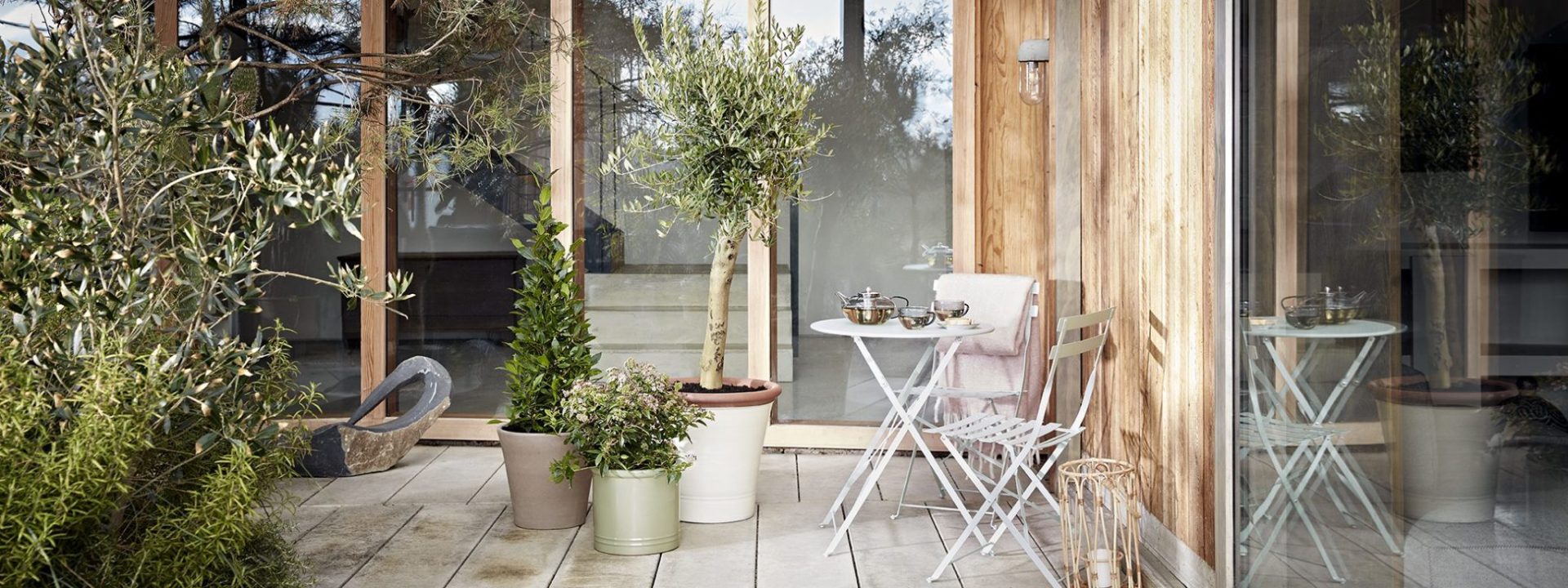 Tranquil patio setting with container gardening for beginners and outdoor seating.