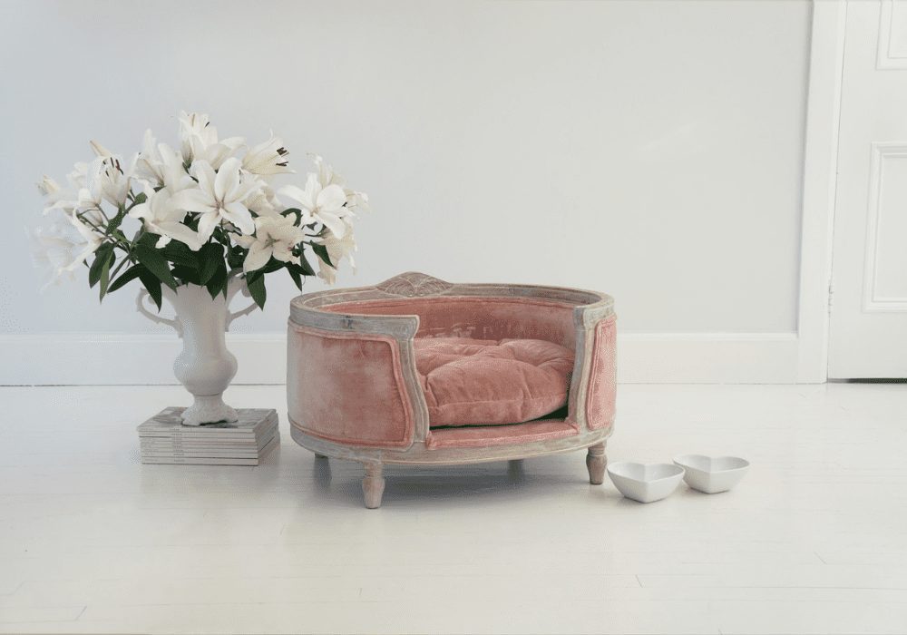 A vintage pink velvet armchair with a white bowl and smaller bowls on the floor, beside a vase of white lilies on stacked books in a barkitecture-inspired white interior.