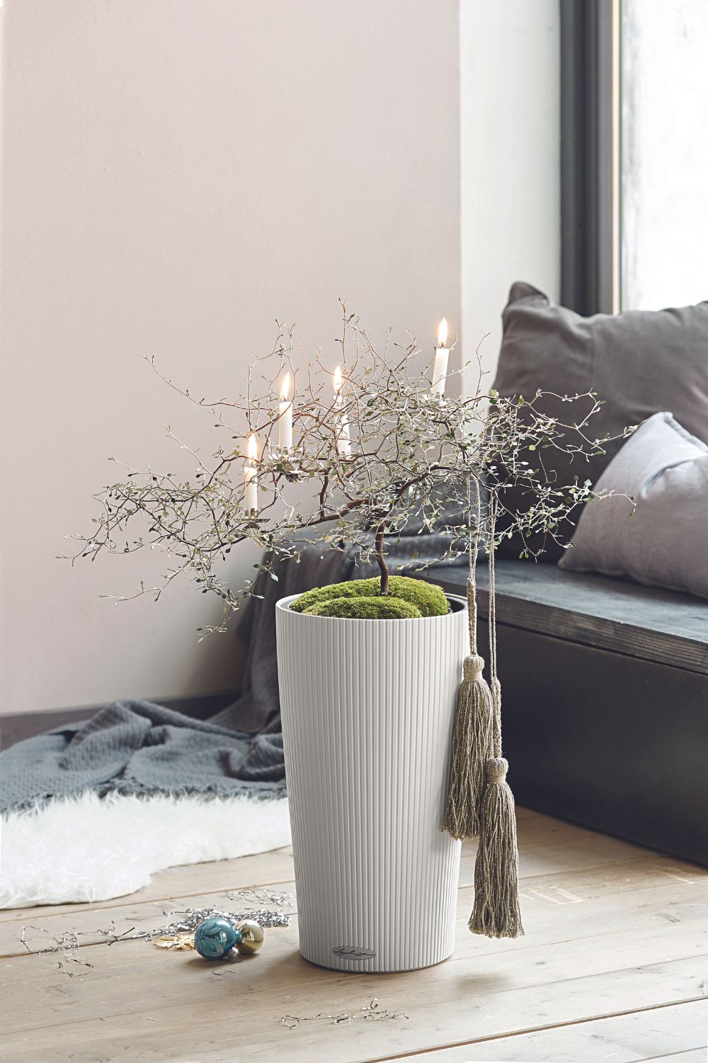 Small Christmas tree, alternative style in a plant pot