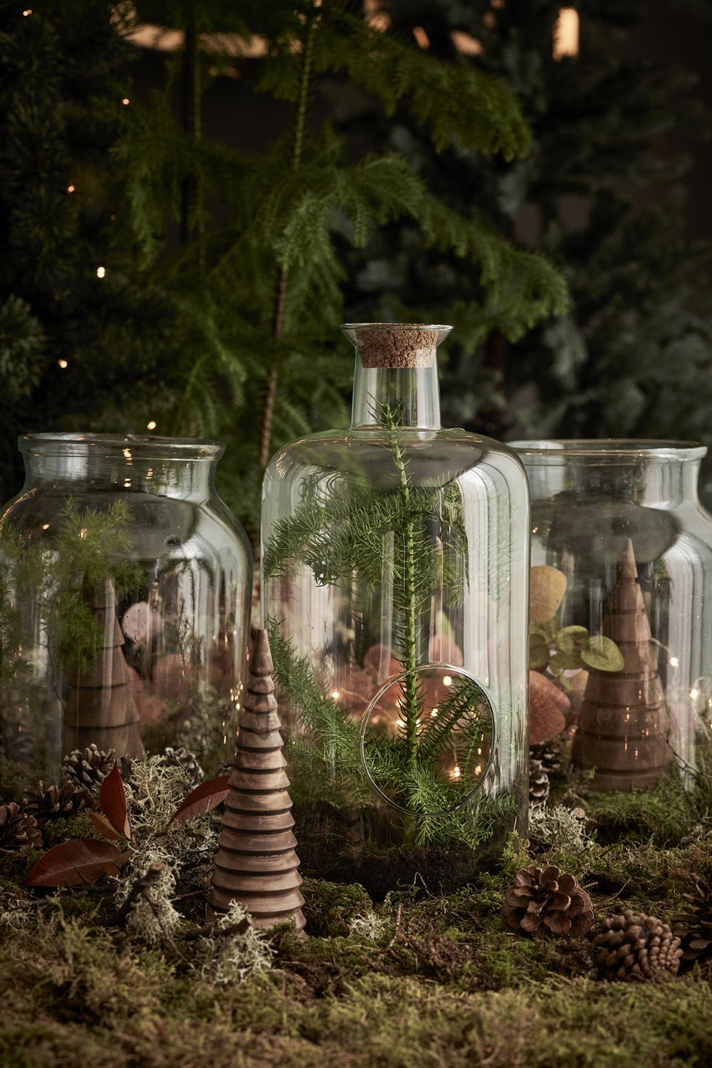 Alternative to a traditional Christmas tree, a set of Christmas decorated Terrariums ideal for a small home