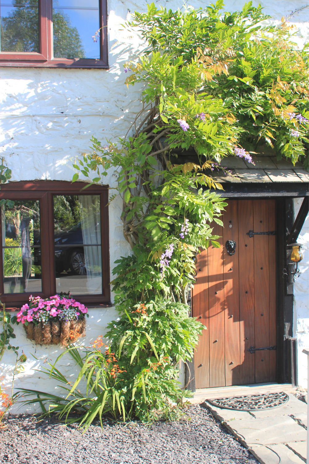 Front of a country cottage, with wooden door and window, white brickwork and flowers growing around the door