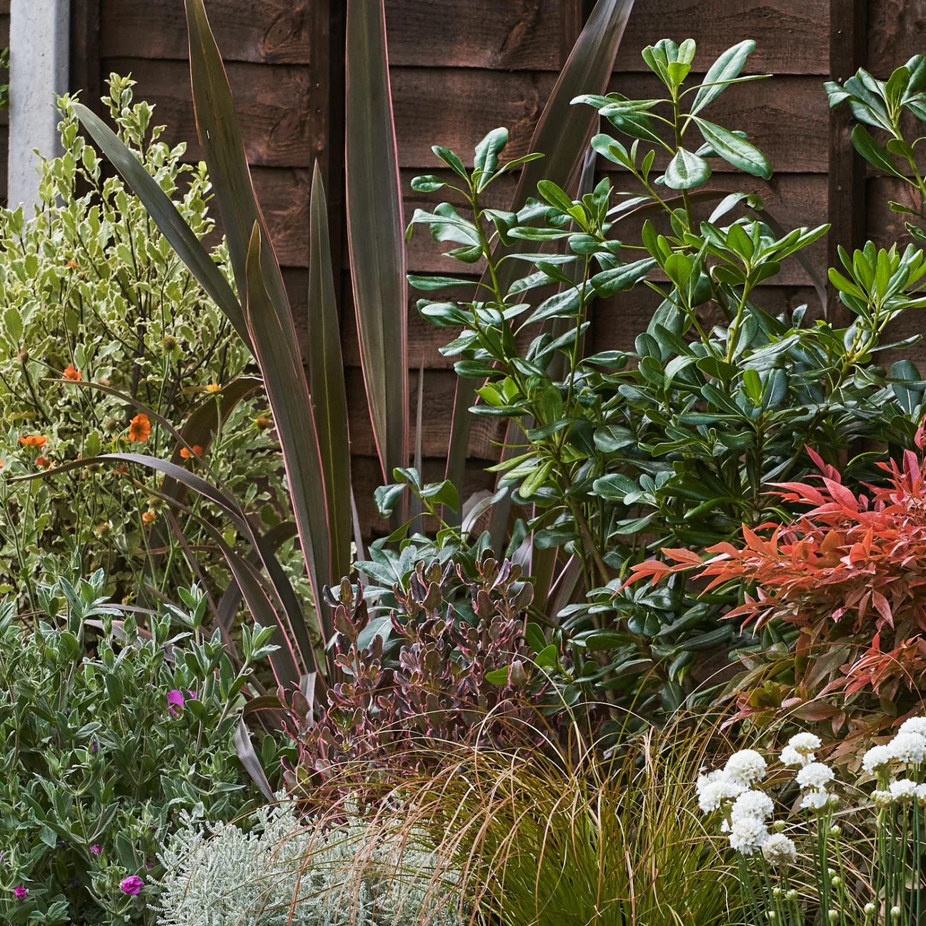 Garden on a roll selection of plants in the ground from an evergreen sunny collection