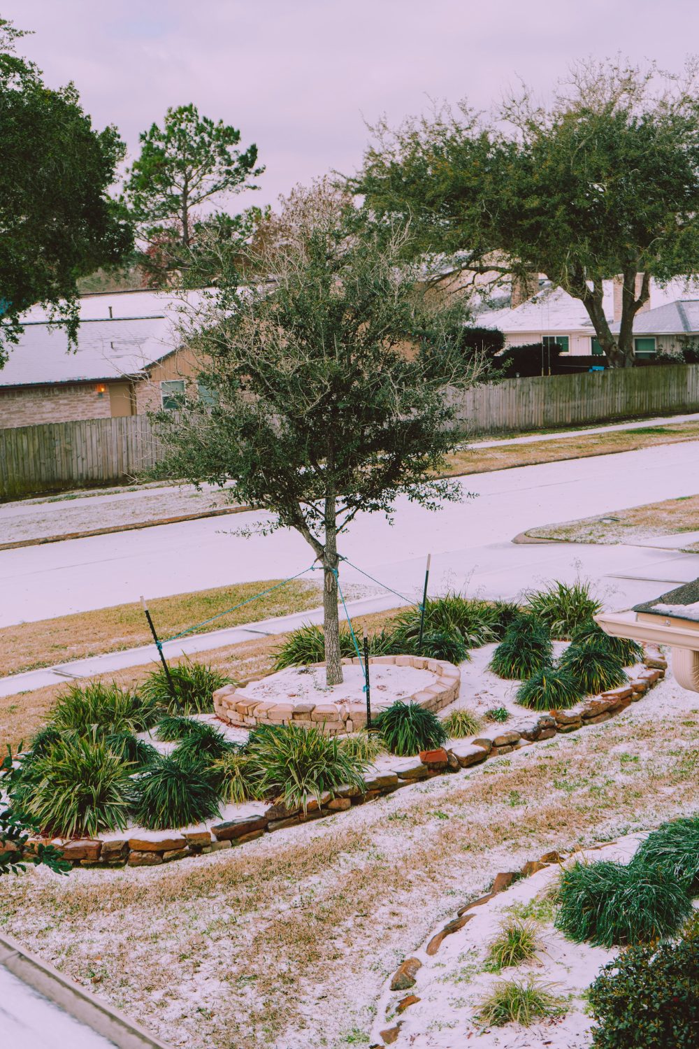 An easy method to remove ice from a yard with a tree standing in the middle.