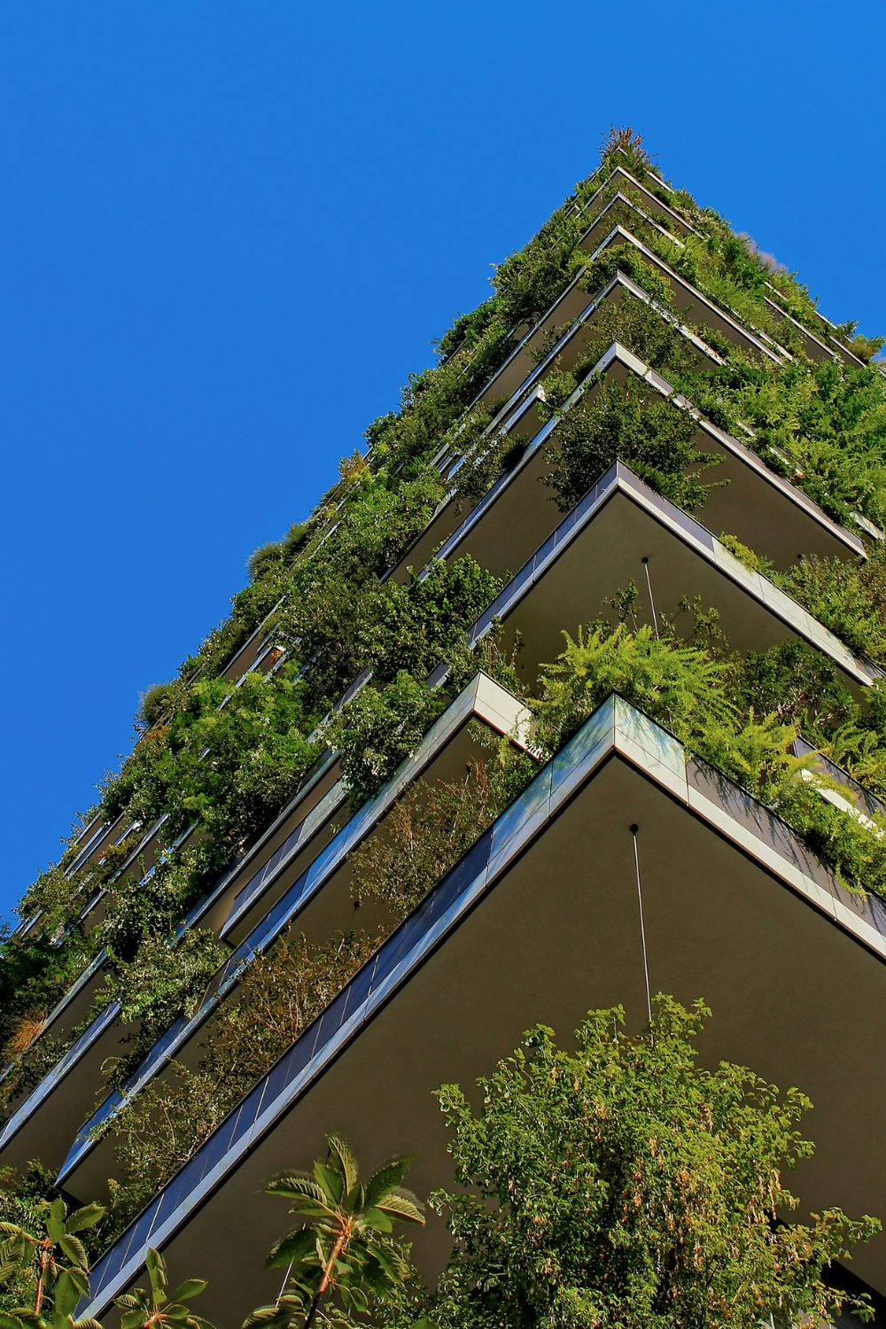 How to Make Your Home More Sustainable Without Making It an Eyesore