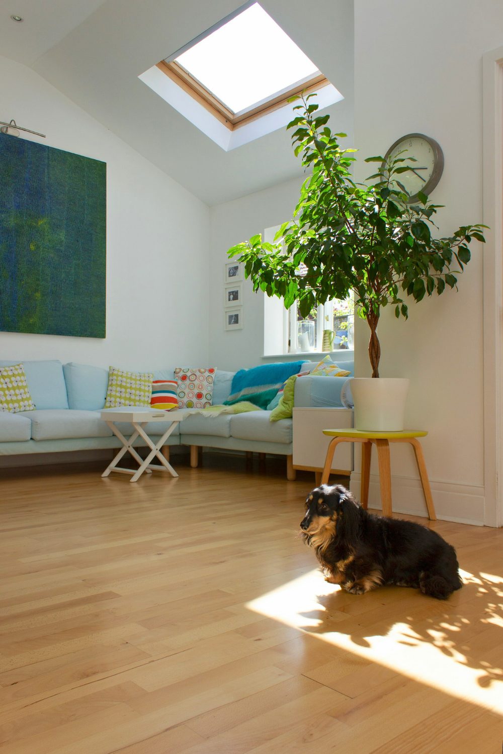 The Different Types of Roof Windows and Which One is Right for You