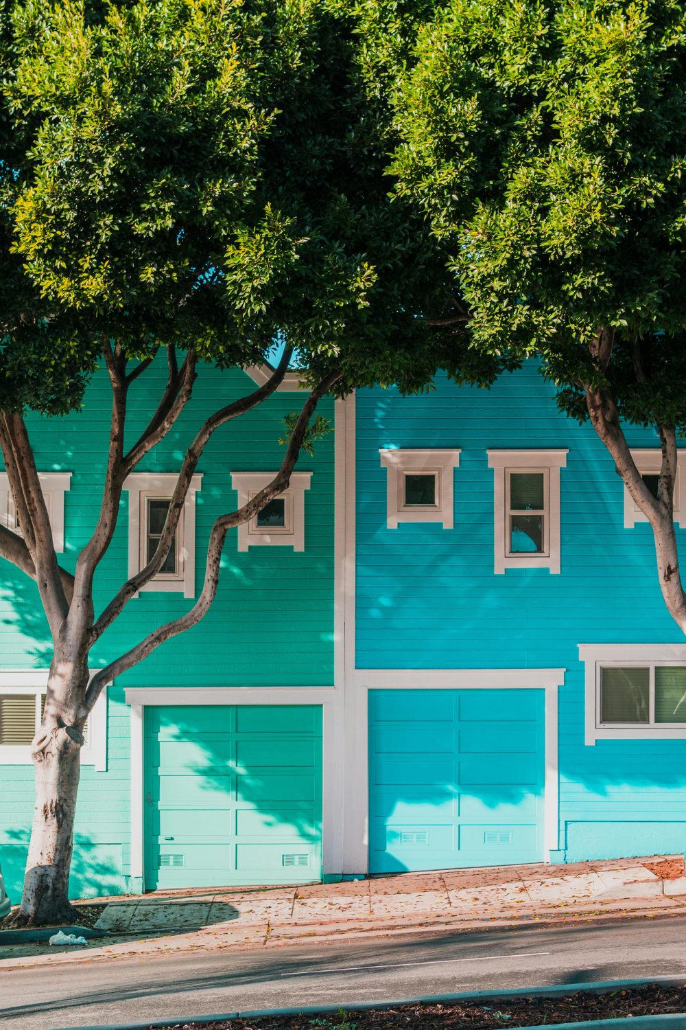 Bright blue and green houses with tree on city street