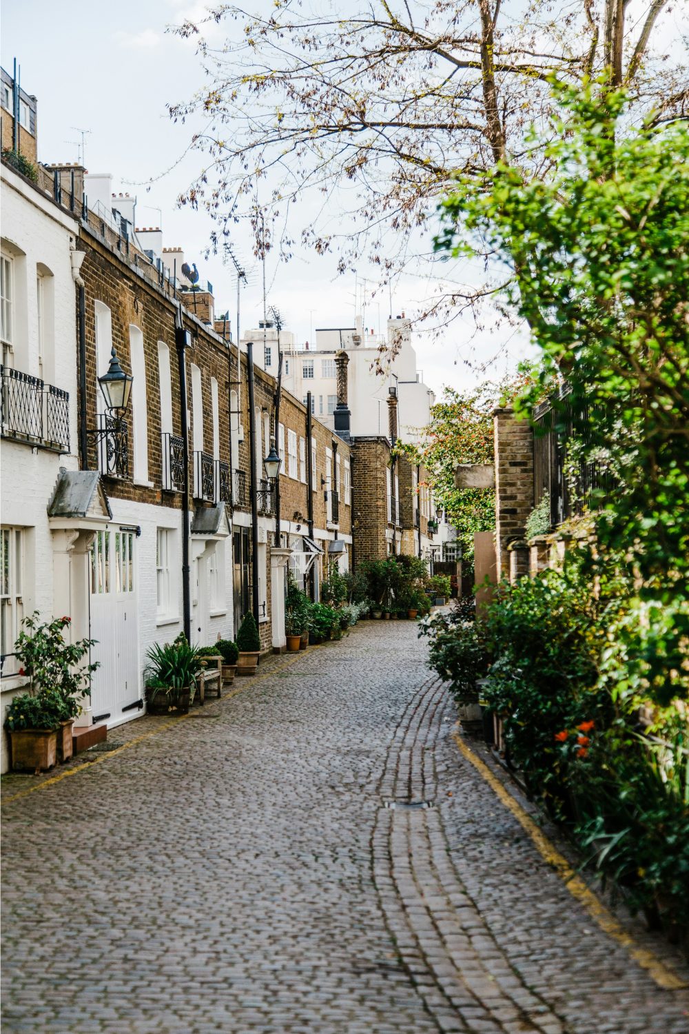 Row of city houses on a cobbled street with greenery