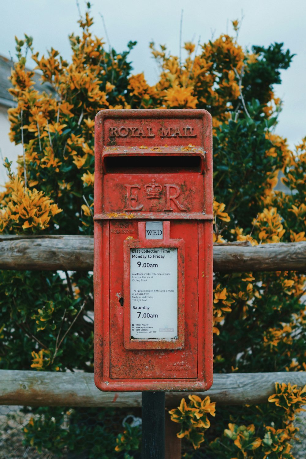 Red postbox on wooden fence in front of colourful tree