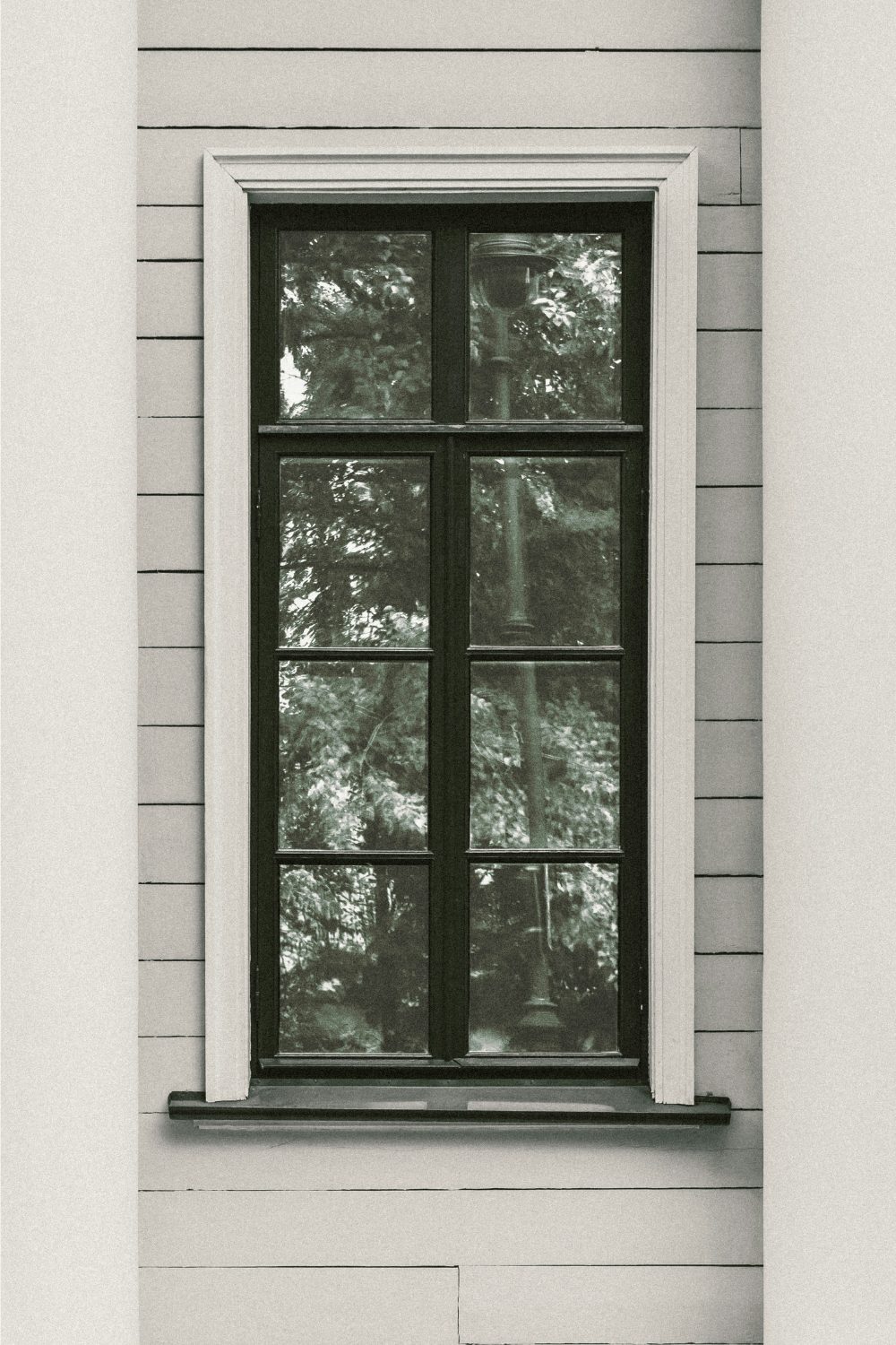 Window reflecting trees in a white wooden wall