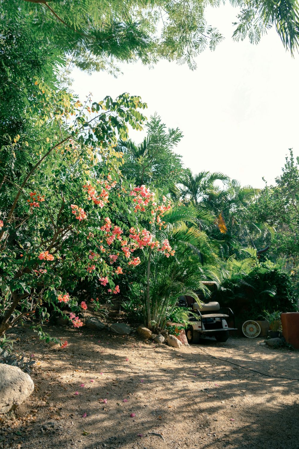 How to Create a Beach-Style Oasis in Your Garden: 13 Top Tips