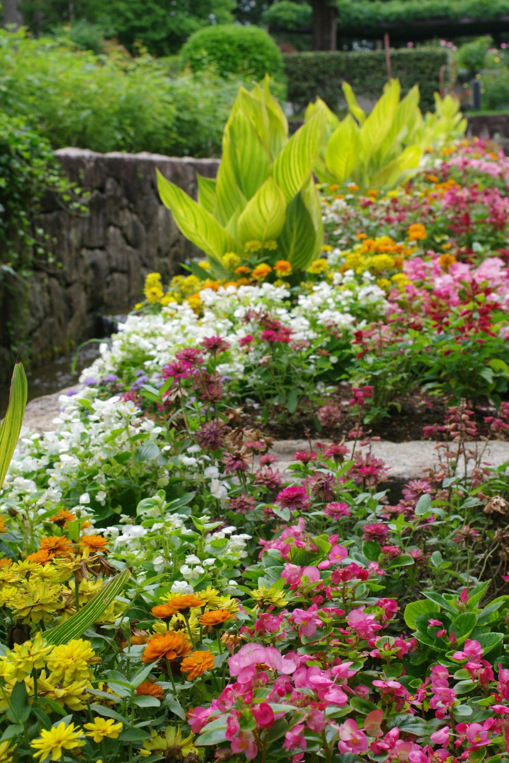 10 Exciting Garden Trends for 2025 You Didn’t See Coming