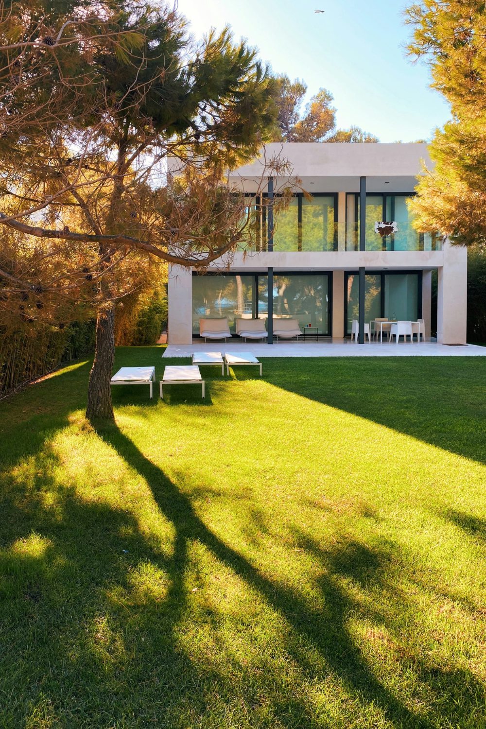 Large sunny lawn with trees and sunbeds in front of a modern rectangular house with full-length windows