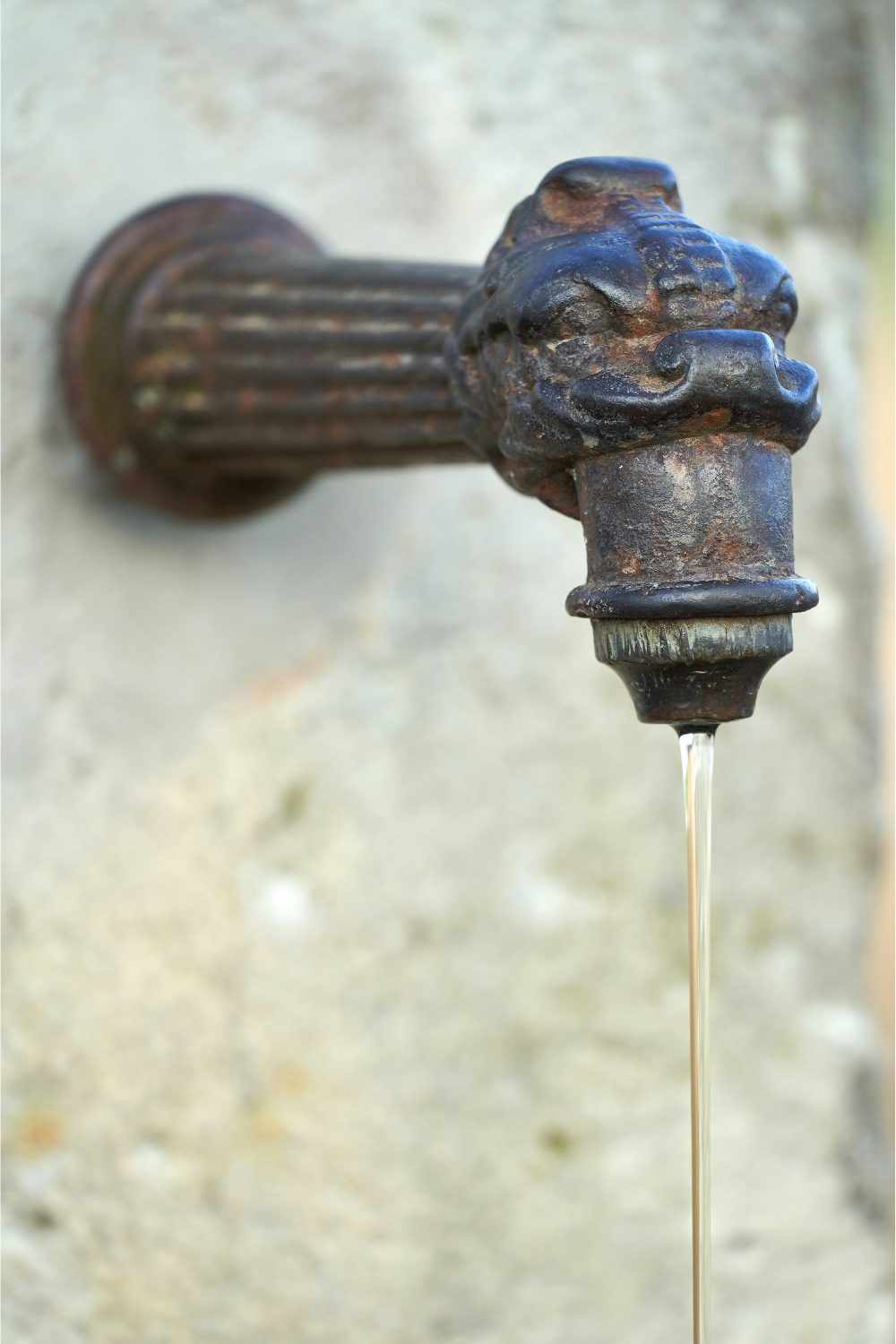 Stream of water flowing from metal tap with Chinese dragon head