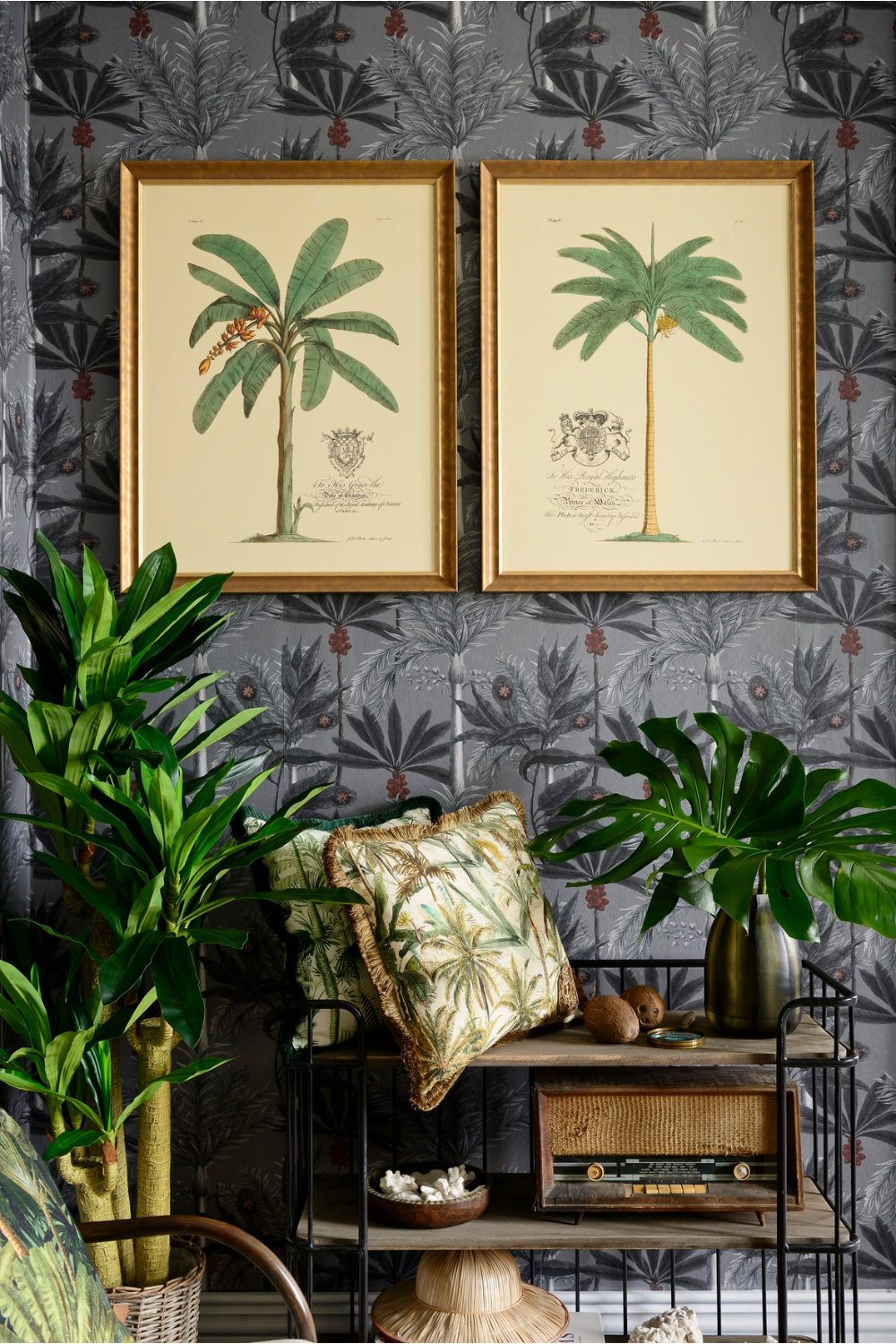 Two palm tree prints hung on grey patterned wallpaper above pot plants and black shelving unit