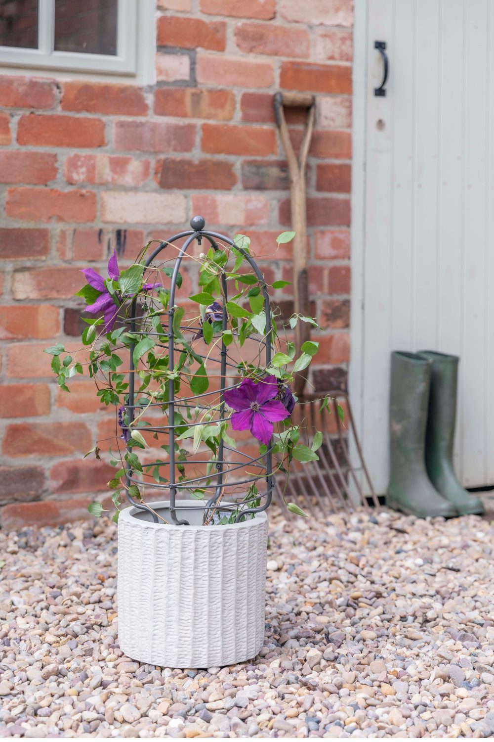 Purple flowering plant in a white pot on gravel by a brick wall with wellies in the background
