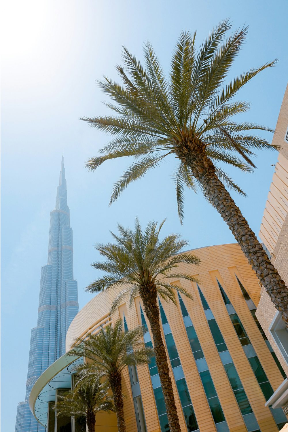 Palm trees lining a orange building against blue sky