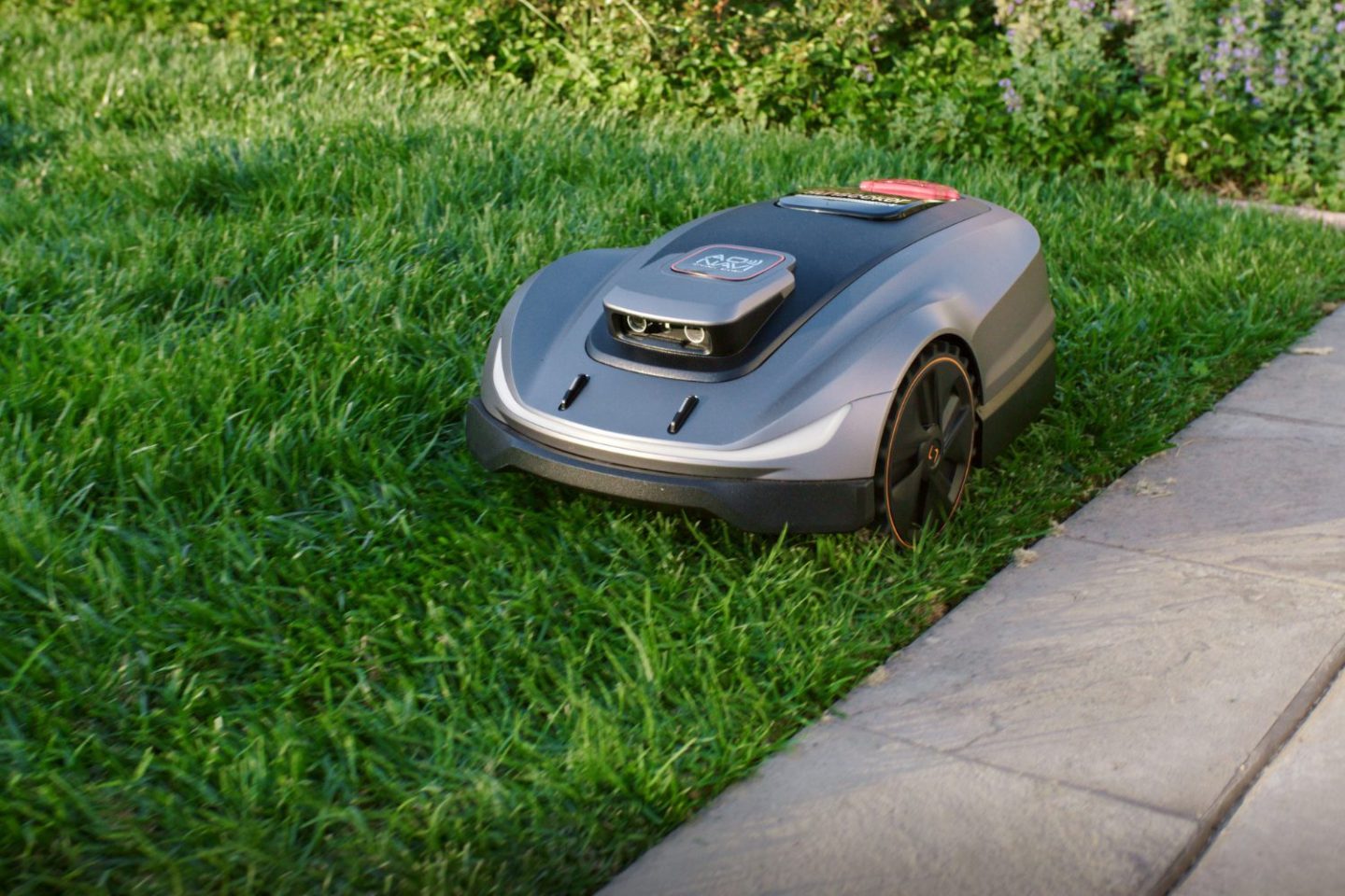 Remote lawnmower on a green lawn with stone path edging