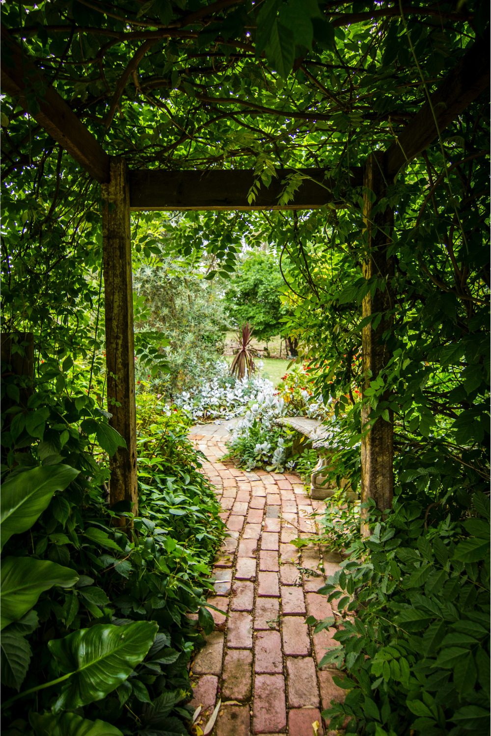 Brick path snaking through lush garden with wooden archway supporting vines