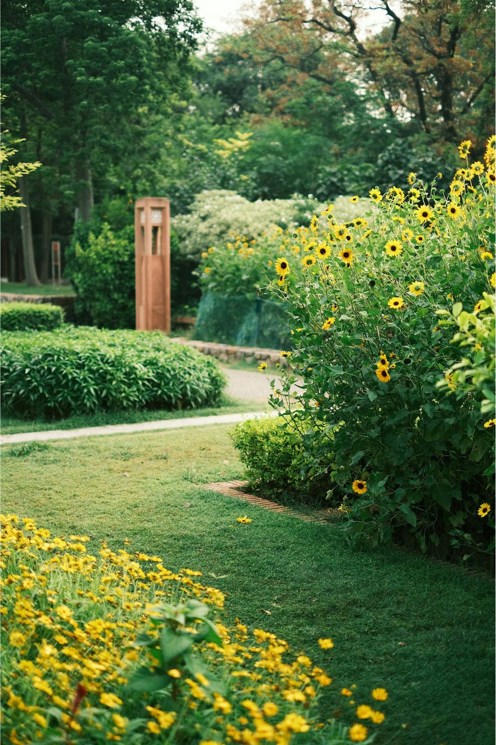 Lawn pathway lined by yellow flowers leading to wooden obelisk 