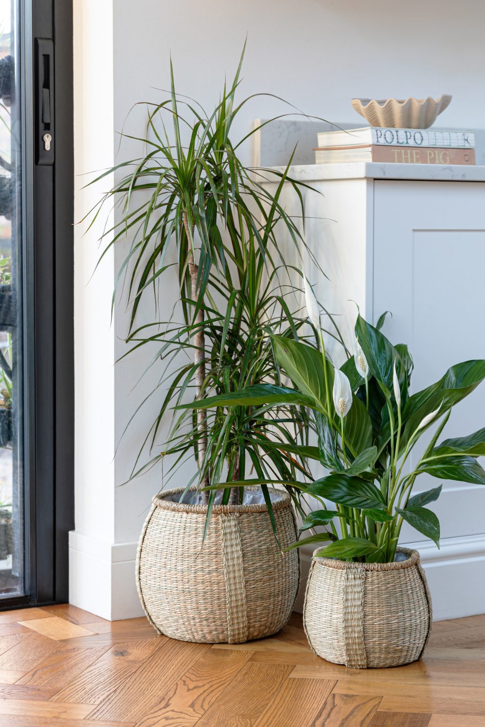 Dracaena and lily plants in woven jute pots on wooden floor next to white panelled counter holding books and seashell