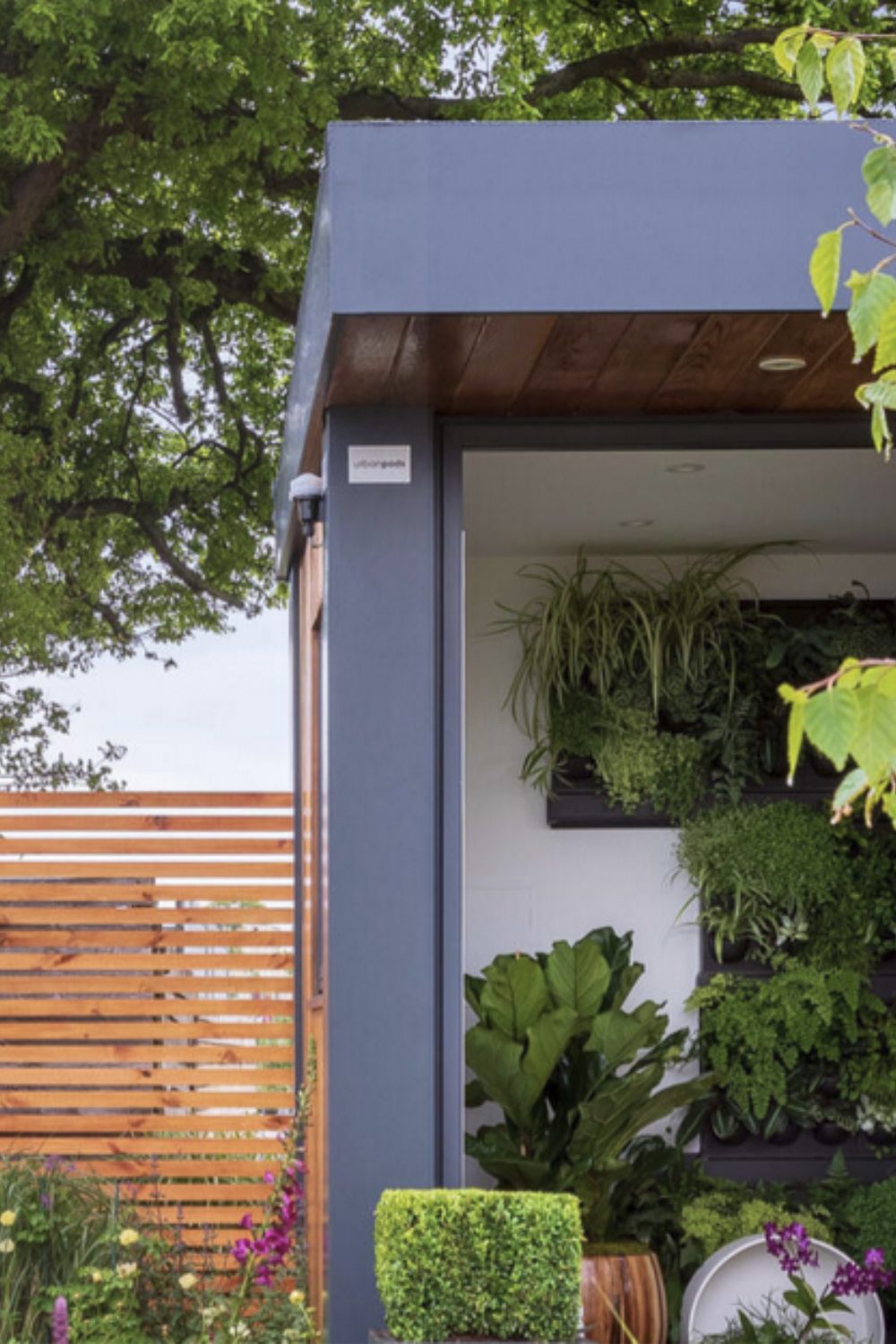 Garden room with variety of plants next to wooden fence