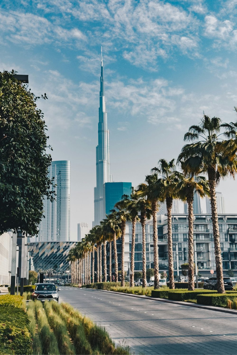 Modern glass skyscrapers behind a road lined with palm trees against blue sky