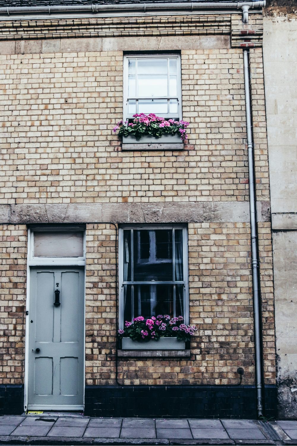 Pale brick house with blue door, window boxes with pink flowers, and metal gutter