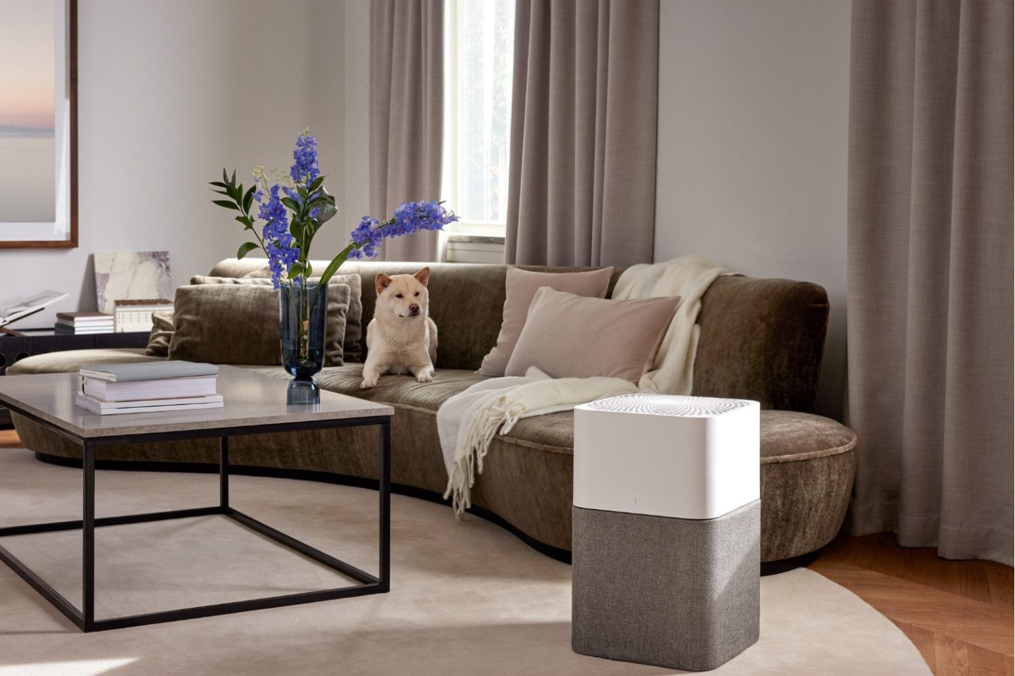 Dog sitting on brown sofa with neutral throws and cushions behind glass and metal table with vase of flowers in grey living room