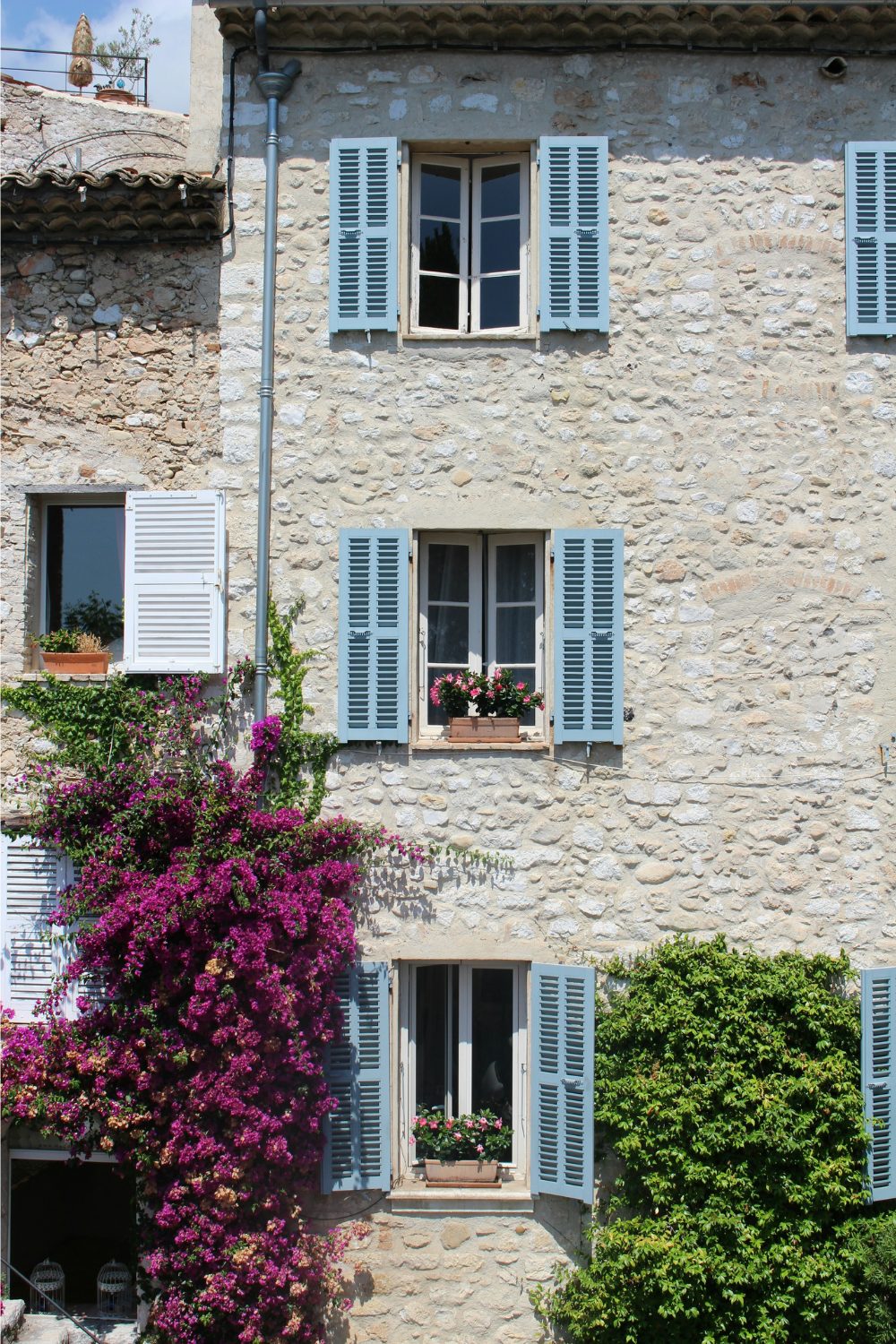 French stone house with row of windows with blue shutters and plants growing over wall