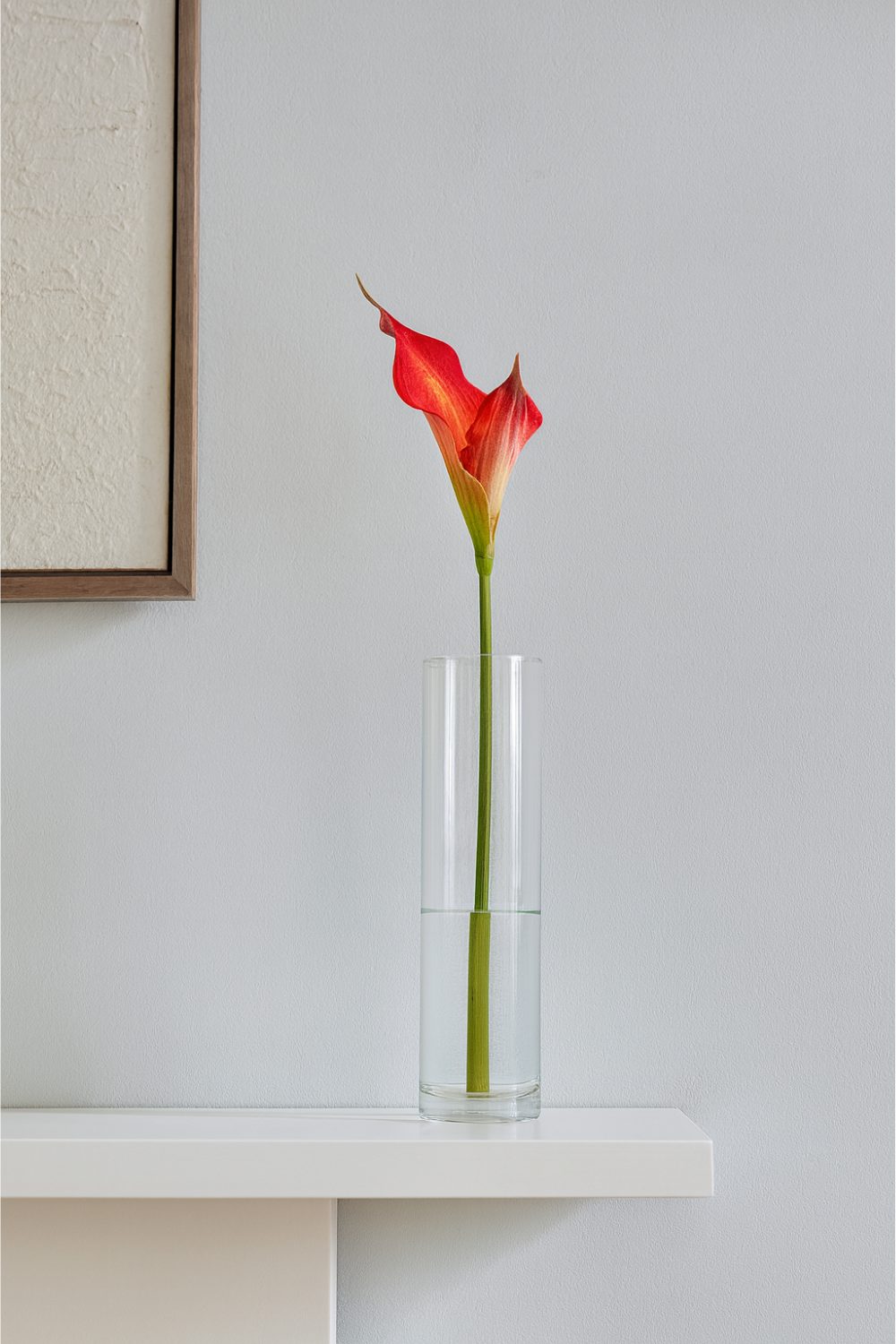 Single red flower in glass vase against white wall