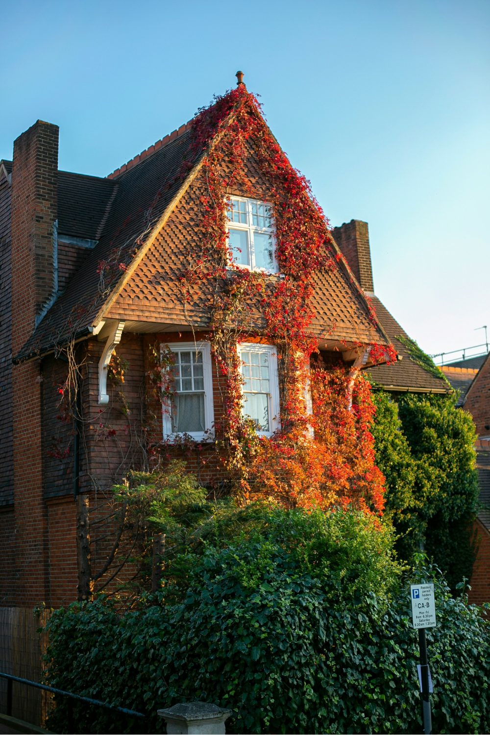 House with bay windows and triangular brick-tiled gable covered in red vines