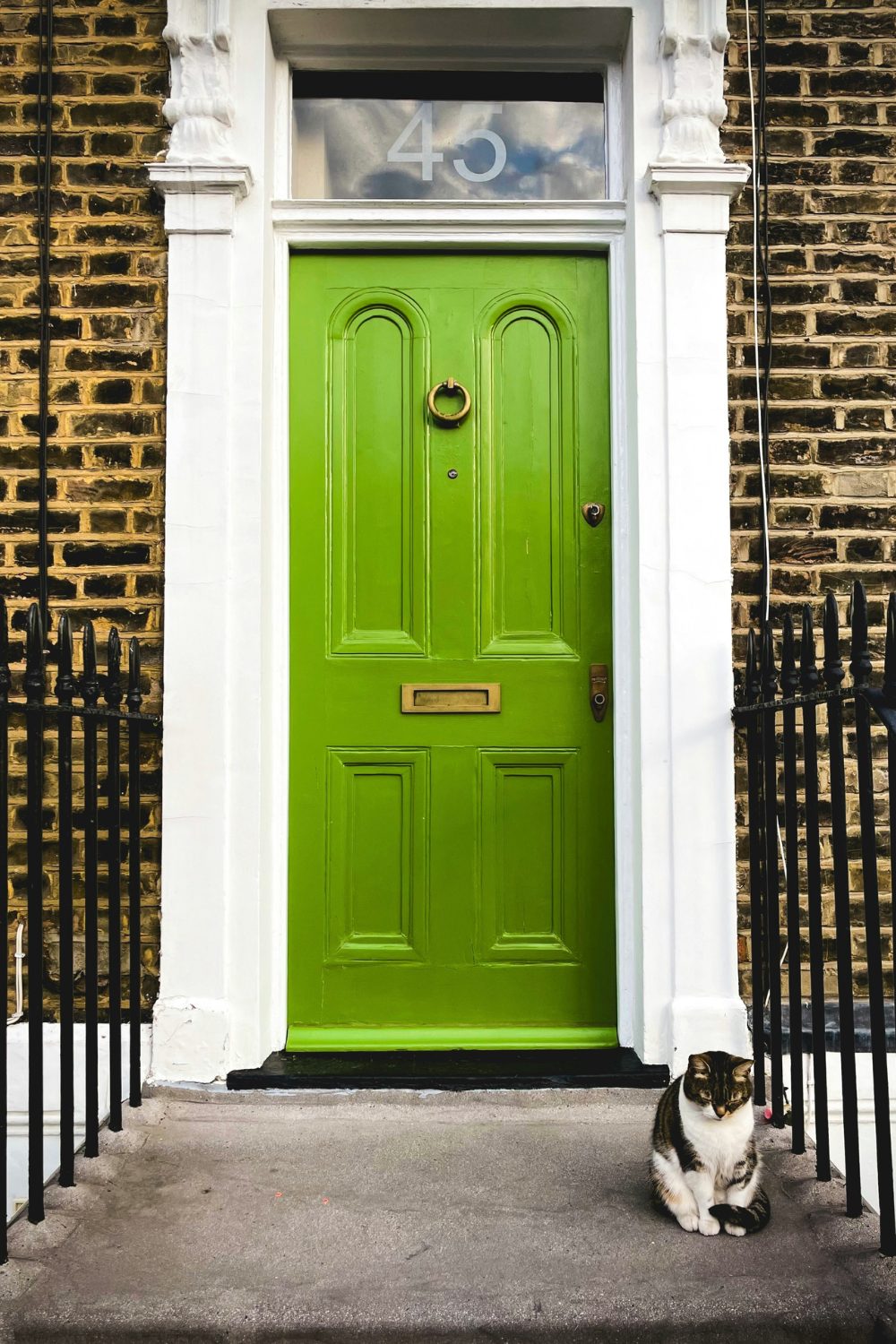 Cat sitting by black railings in front of green door in brick house