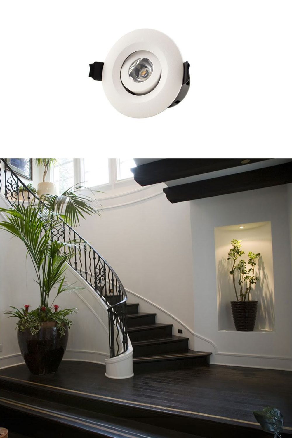 Curved staircase with black metal banisters against white walls, and downlit alcove with potted plant.