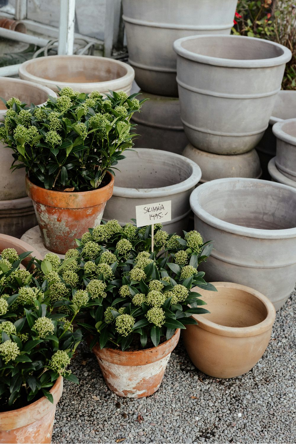 Stacks of grey plant pots next to green plants in terracotta pots