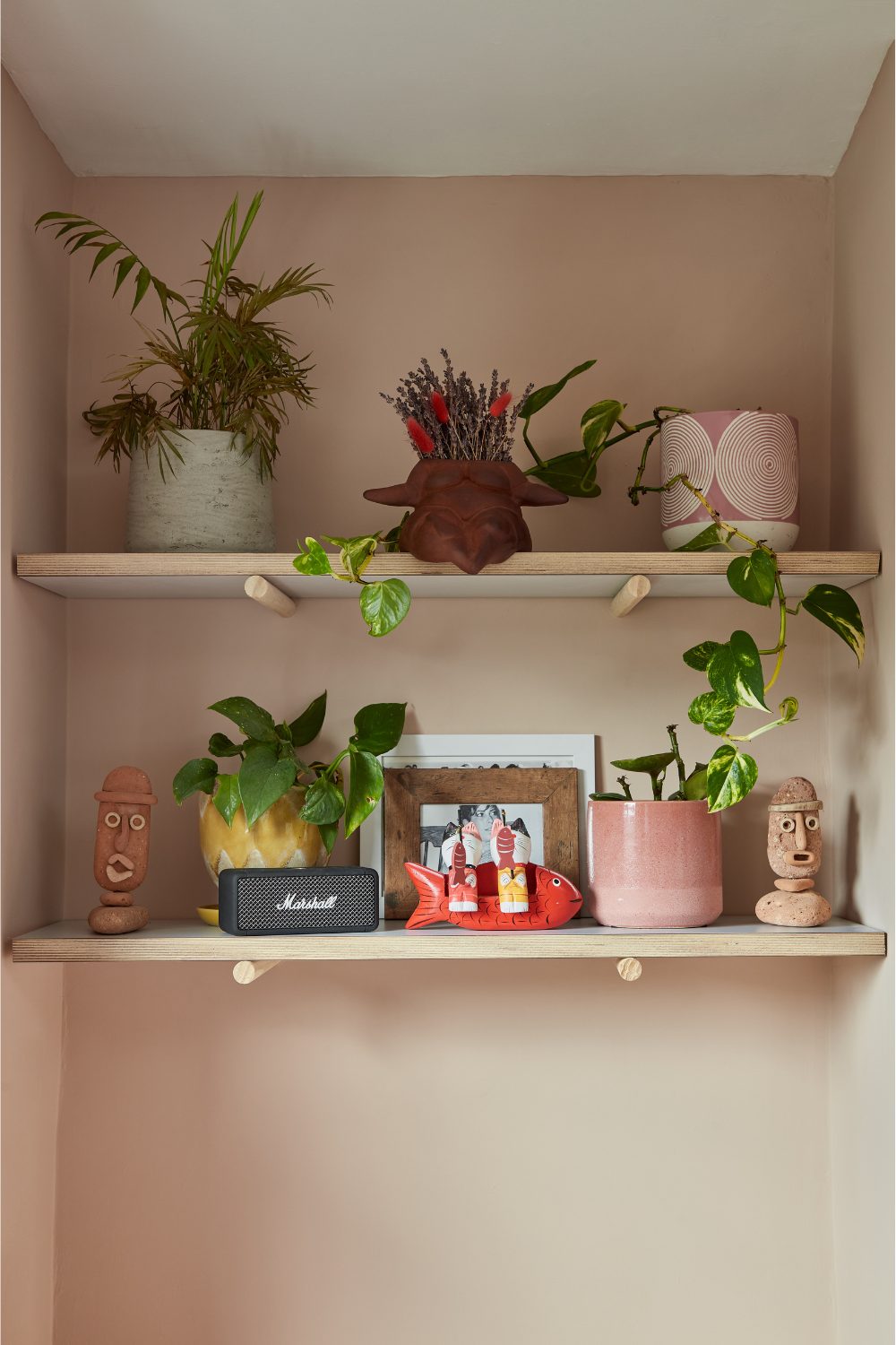 Wooden shelving against a light pink wall holding plant pots, speaker and framed photos