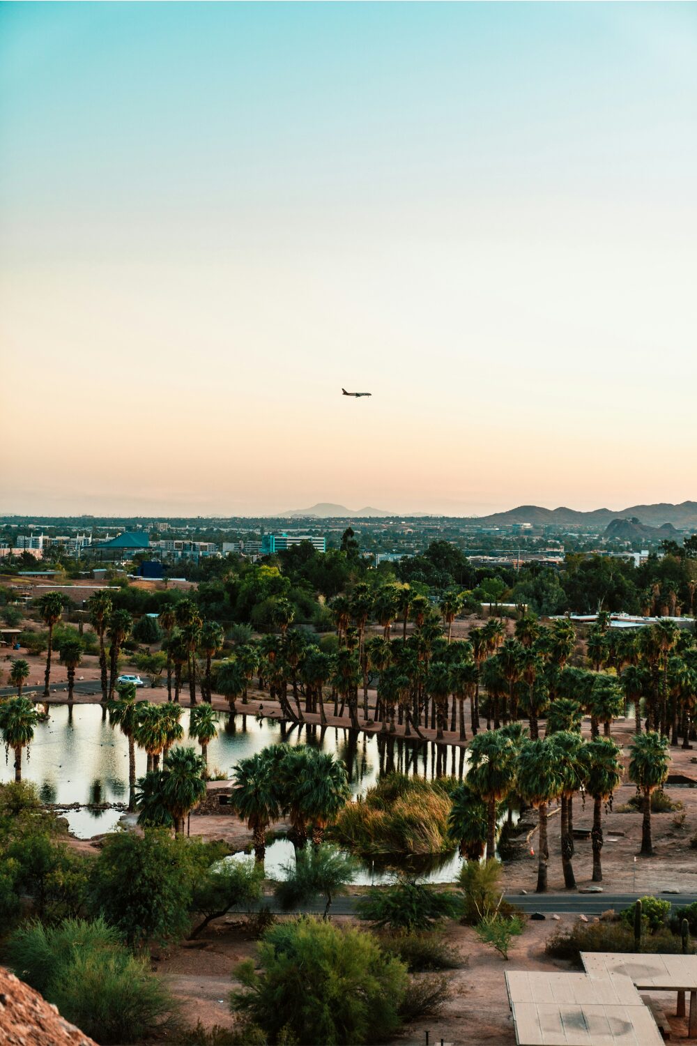 Plane flying over lake surrounded by palm trees with mountain skyline