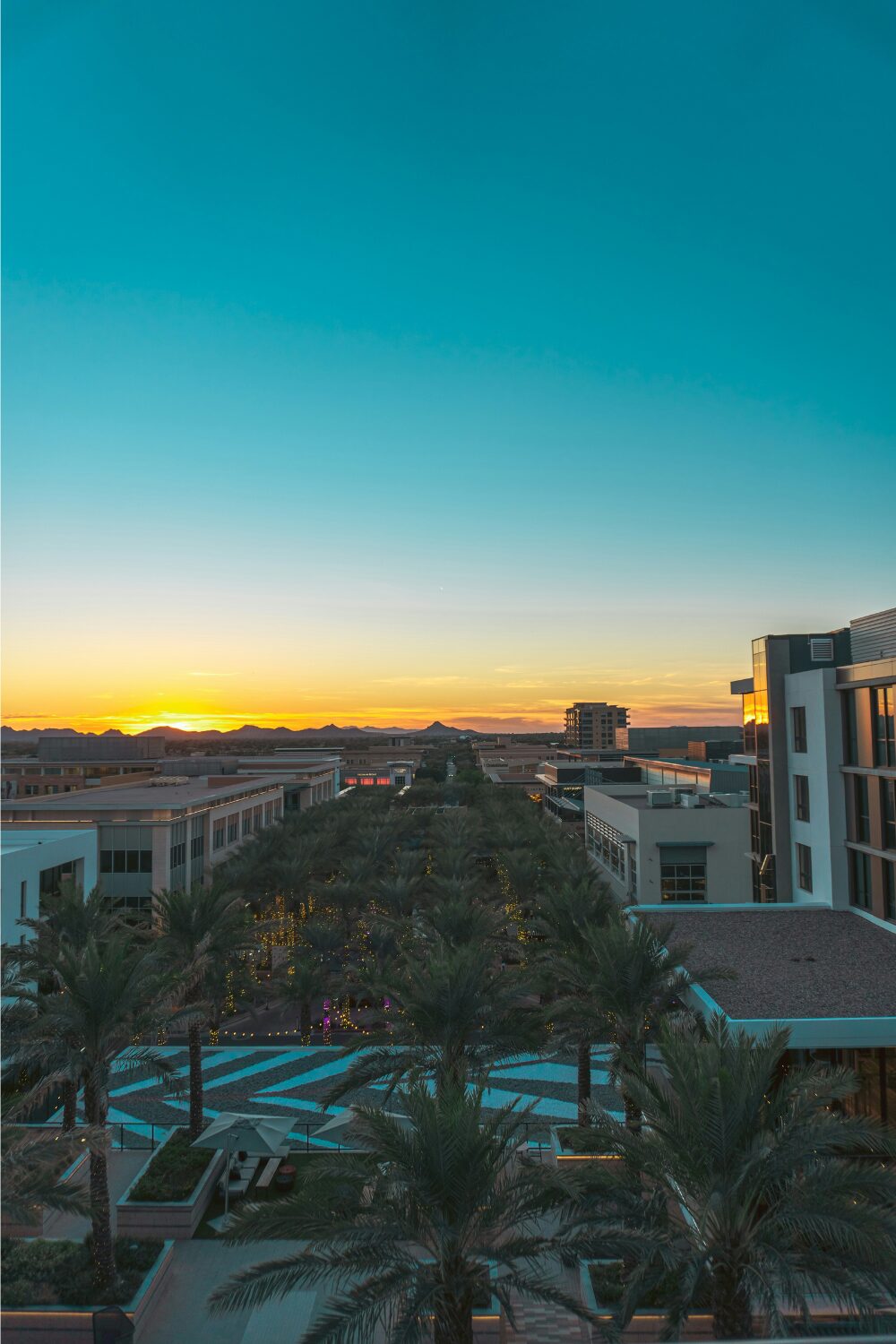 Sunset over city street with palm trees