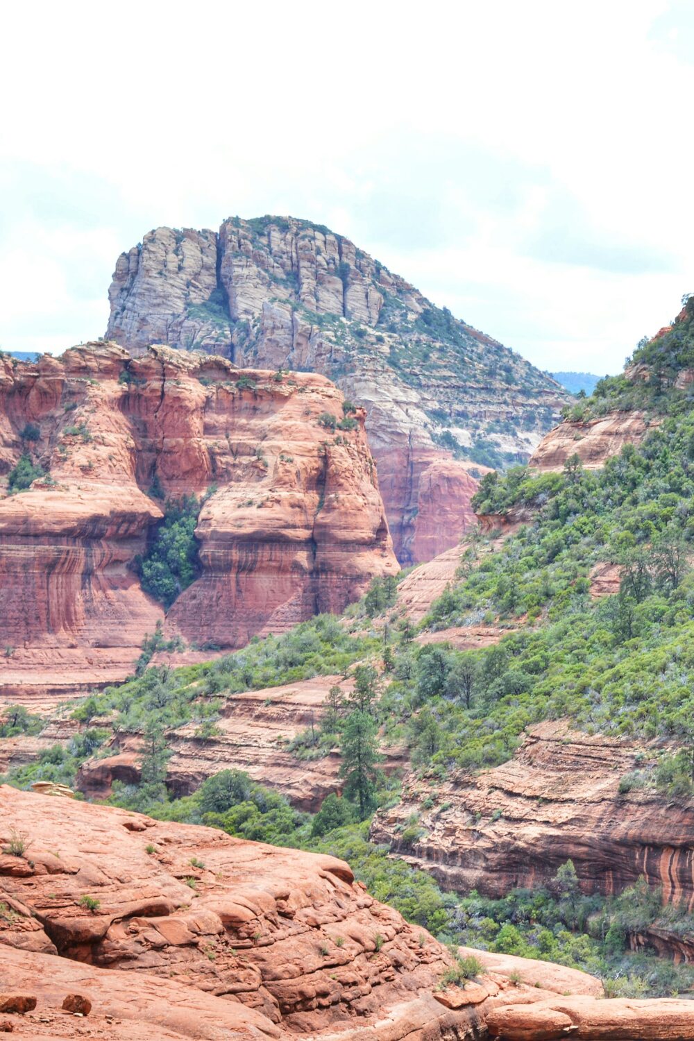 Red rock cliffs with green trees