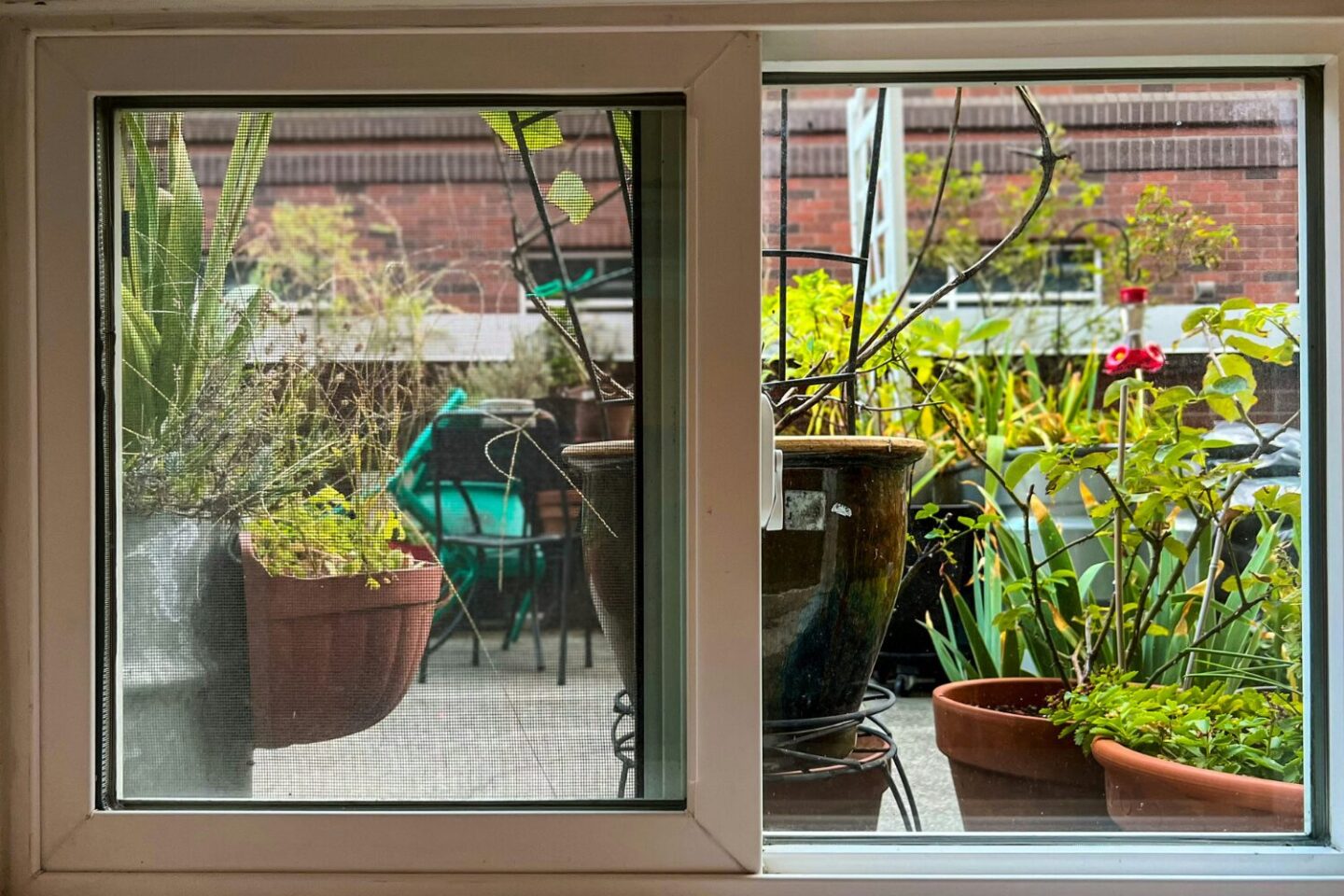 Sliding window open to view of foliage in plant pots