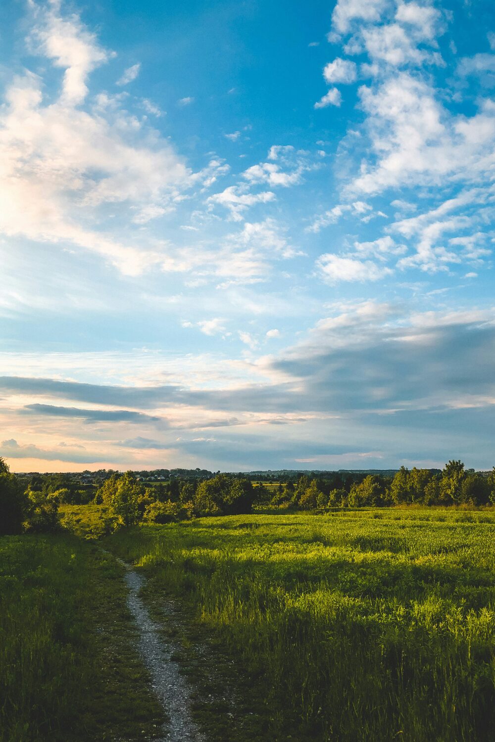 Green field and trees against blue sky