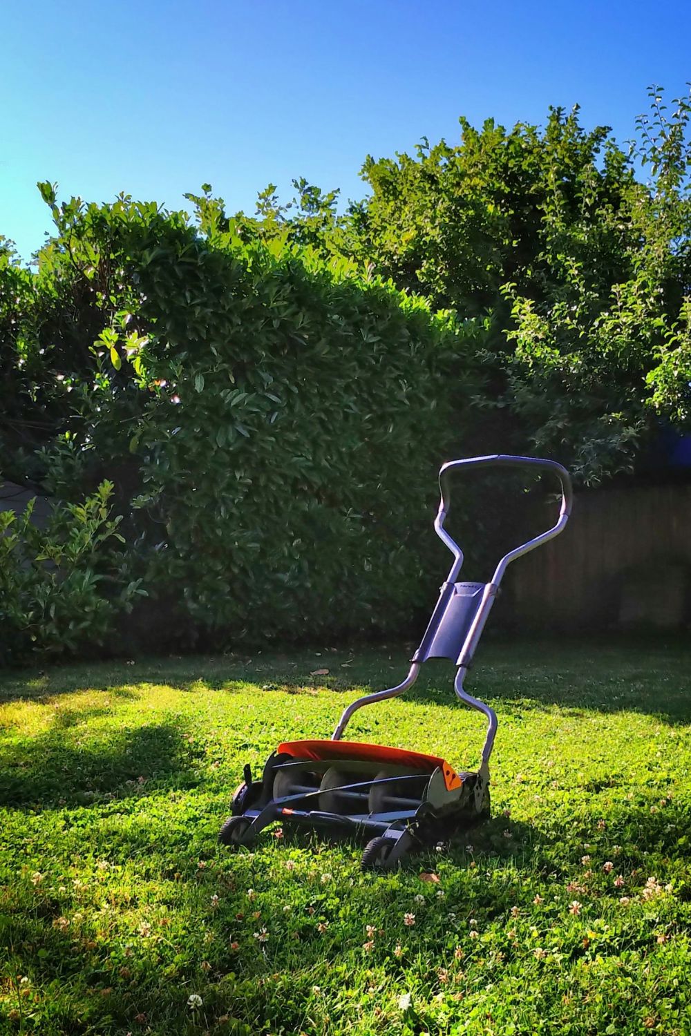 Essential Lawn Mower Maintenance Tips for Every Homeowner