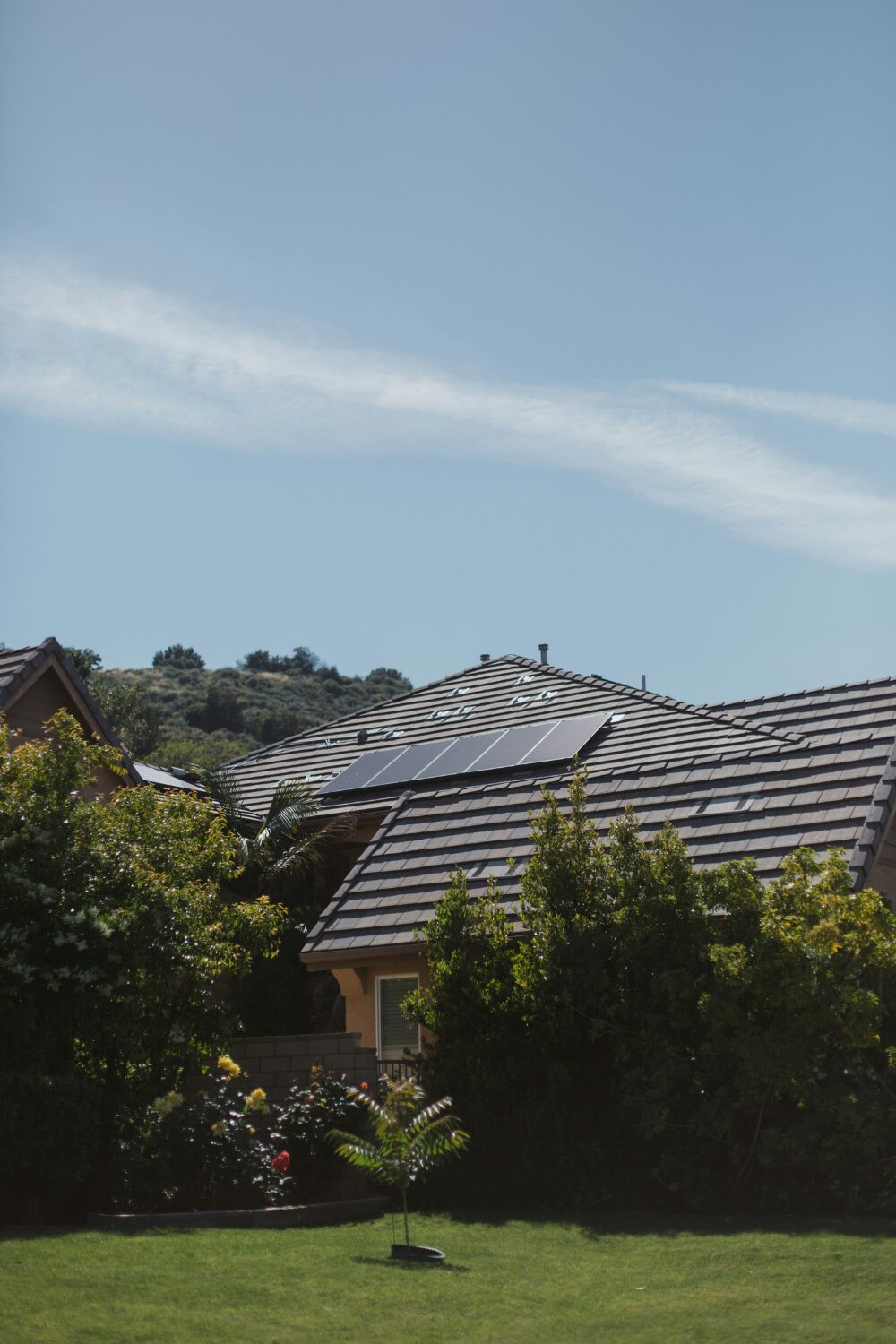 House with roof solar panels and garden with roses