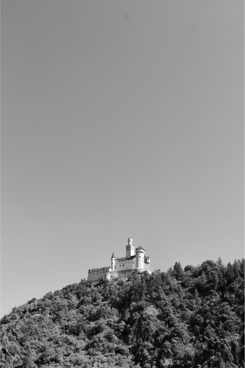 Forested hill with white medieval castle