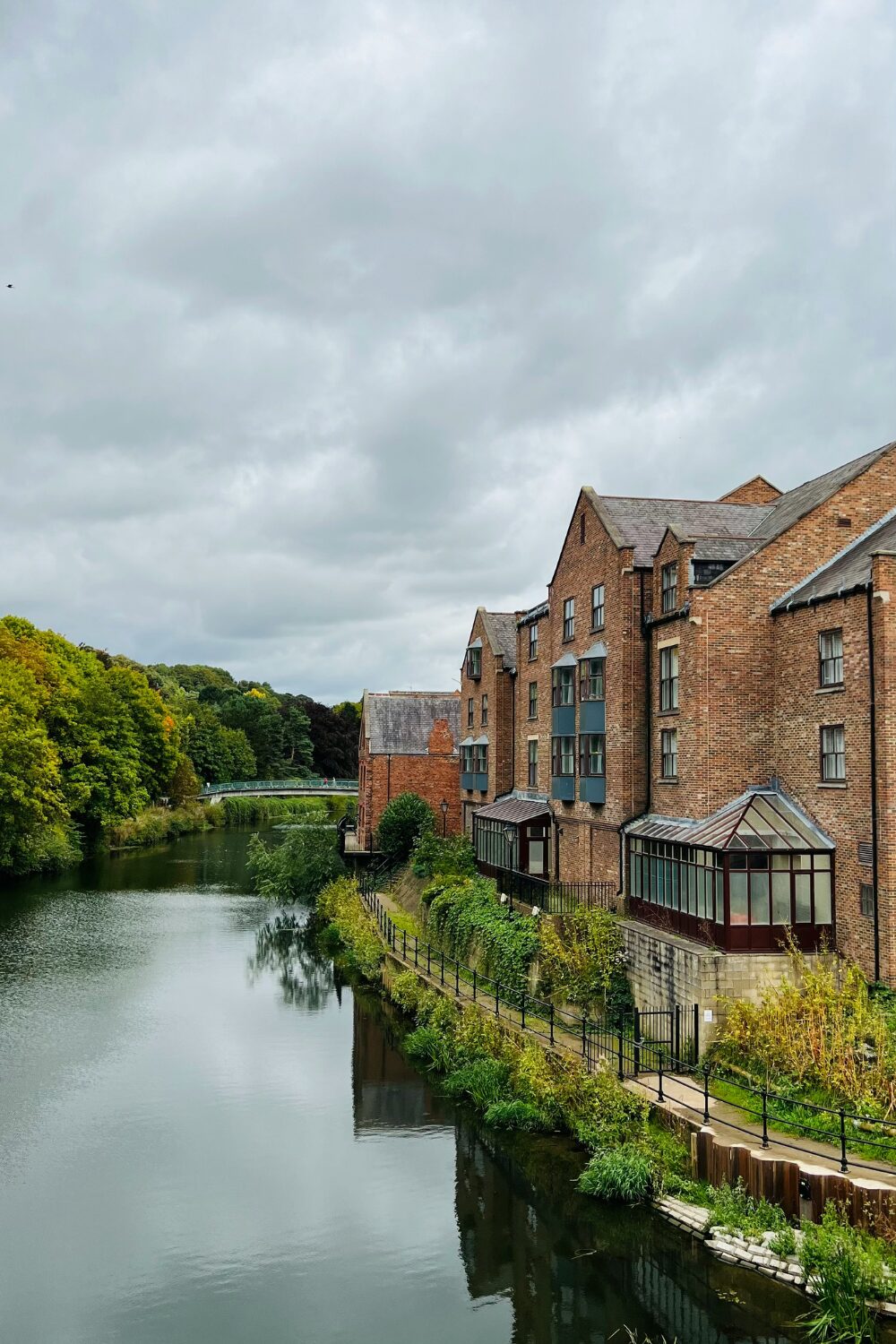 Brick houses with glass conservatories backing onto river bordered by green trees